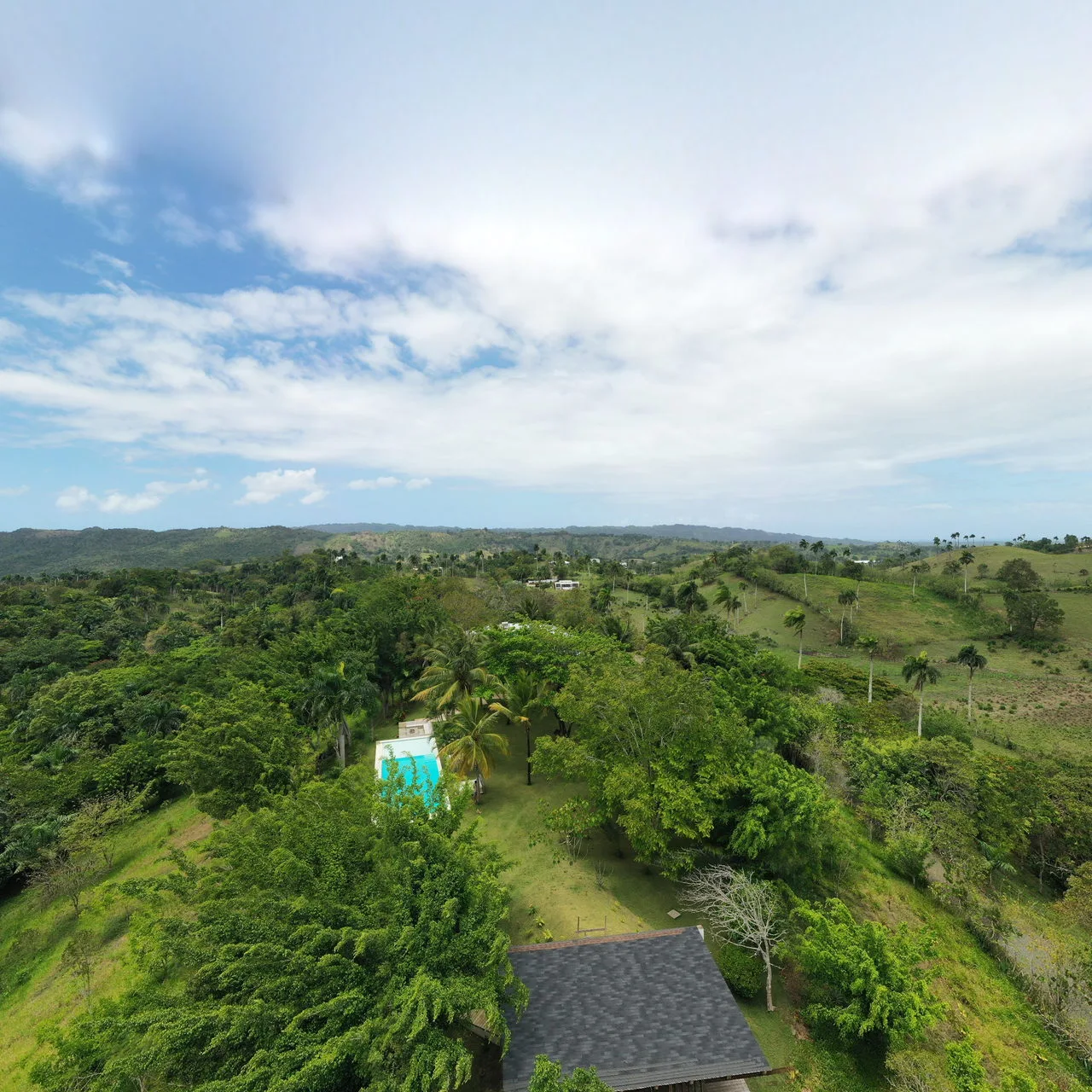 The tropical grounds of OYA