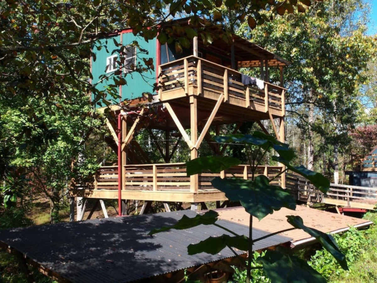 The White Lotus treehouse in daylight